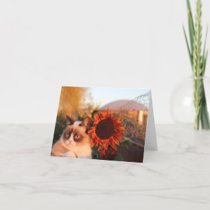 Cartes de notes de tournesol Grumpy Cat