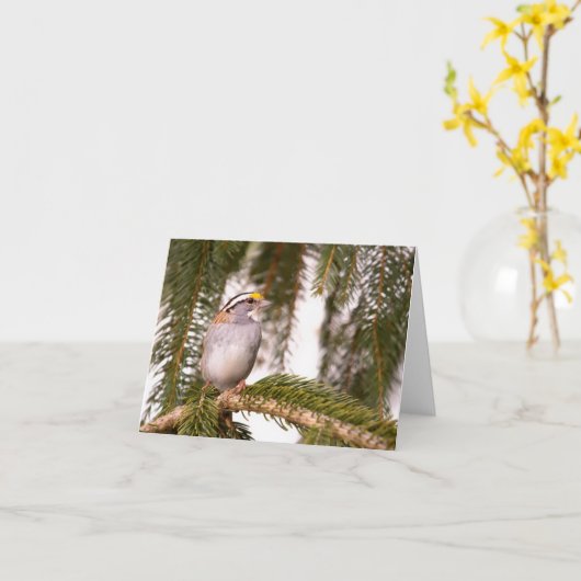 Cartes de notes du Bruant à projection blanche (Fleur jaune)