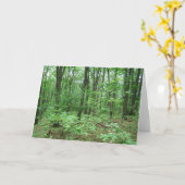 Cartes de notes du mont Nittany (Fleur jaune)