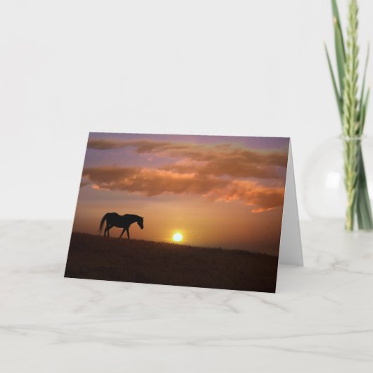 Cartes de notes en blanc pour joli cheval (Devant)