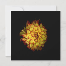 Cartes de notes et cartes de vœux Dahlia