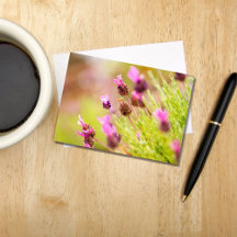 Cartes de notes Fleurs de Lavande