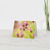 Cartes de notes Fleurs de Lavande (Devant)