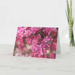 Cartes de notes florales lilas