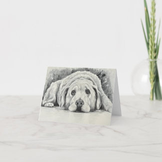 Cartes de notes Golden Retriever