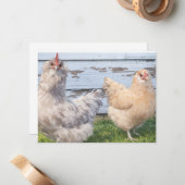 Cartes de notes mignonnes de deux poules de ferme (Devant/Arrière en situation)