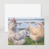 Cartes de notes mignonnes de deux poules de ferme (Devant / Derrière)