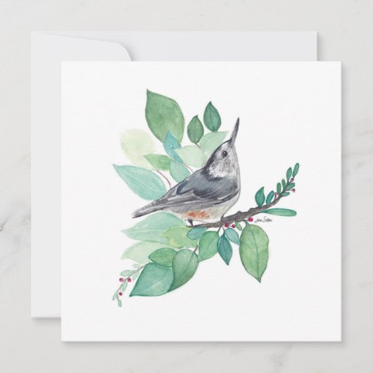 Cartes de notes Nuthatch Watercolor (Devant)
