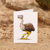 Cartes de notes Ostrich
