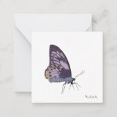 Cartes de notes papillon (Devant)