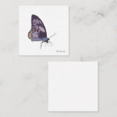 Cartes de notes papillon (Devant / Derrière)