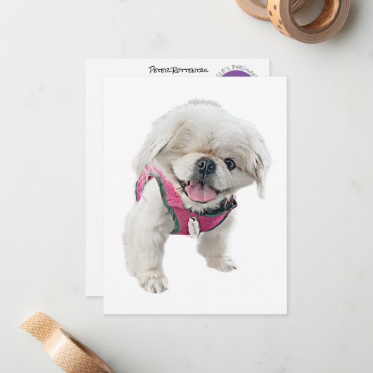 Cartes de notes Peter Rottentail (Devant/Arrière en situation)