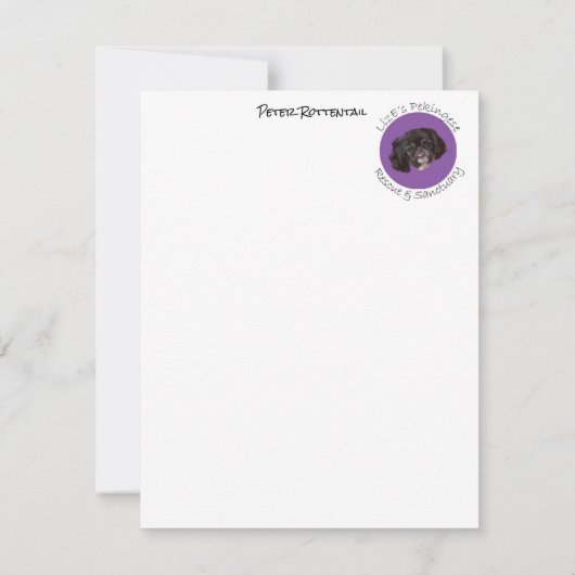 Cartes de notes Peter Rottentail (Dos)