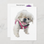 Cartes de notes Peter Rottentail (Devant / Derrière)