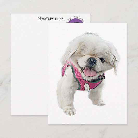 Cartes de notes Peter Rottentail (Devant / Derrière)