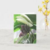 Cartes de notes Plantes tropicales (Fleur jaune)