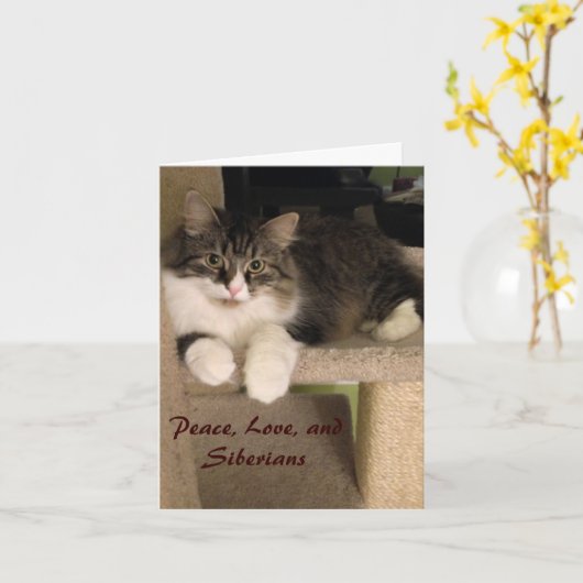 Cartes de notes pour chats de Sibérie (Fleur jaune)