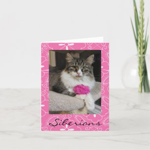 Cartes de notes pour chats de Sibérie