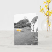 Cartes de notes pour fleur d'Hibiscus jaune (Fleur jaune)