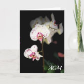 Cartes de notes pour orchidées blanches et roses (Devant)