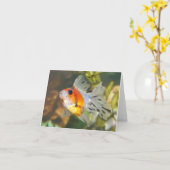 Cartes de notes pour poisson rouge à seigle (Fleur jaune)