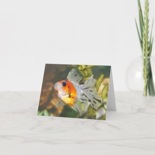 Cartes de notes pour poisson rouge à seigle (Devant)