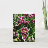 Cartes de notes pour tulipes violettes et blanches (Devant)
