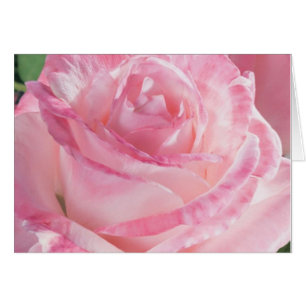 Cartes de notes rose