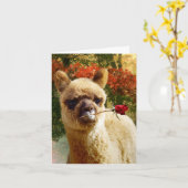 Cartes de notes Rose Alpaca (Fleur jaune)