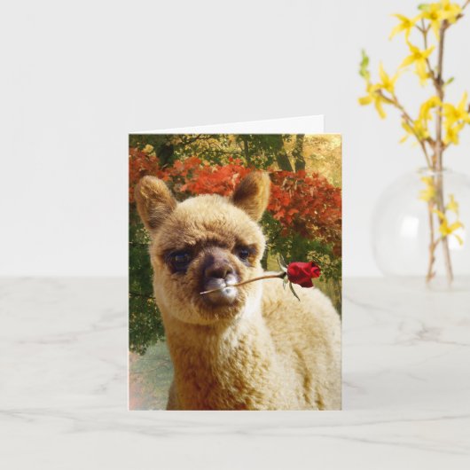 Cartes de notes Rose Alpaca (Fleur jaune)