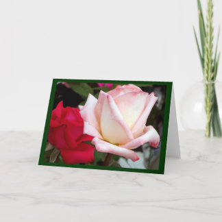 Cartes de notes Roses Roses Rouges