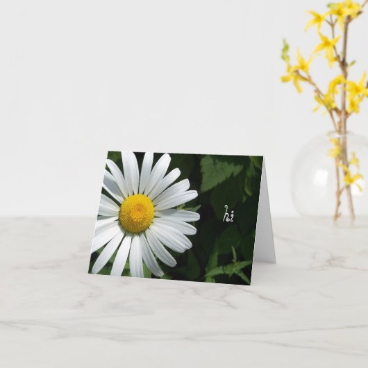 Cartes de notes Shasta Daisy (Fleur jaune)