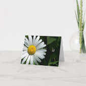 Cartes de notes Shasta Daisy (Devant)