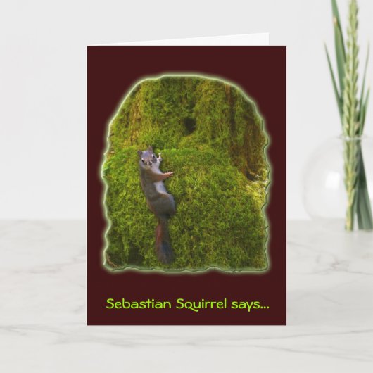CARTES DE NOTES SQUIRREL SEBASTIEN (Devant)