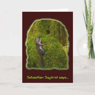 CARTES DE NOTES SQUIRREL SEBASTIEN