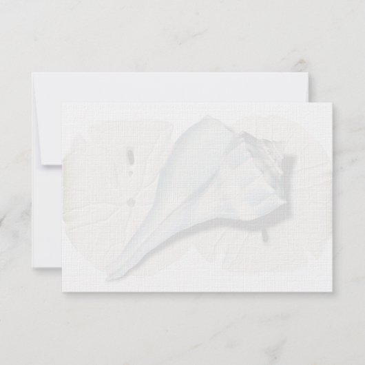 Cartes de notes vierges Coquille de Buccin (Devant)