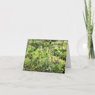 Cartes De Notes Vierges Et Fleurs