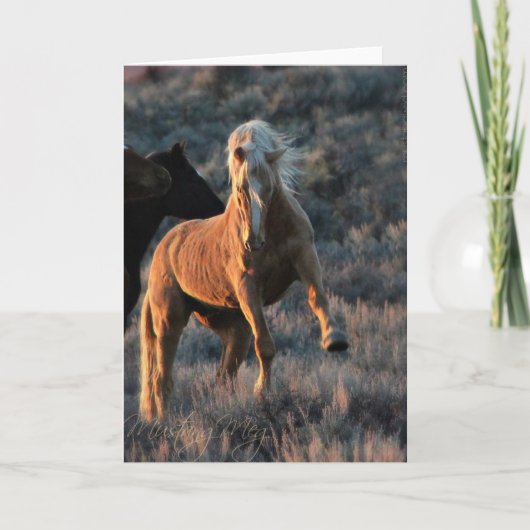 Cartes de notes Wild Palomino (Devant)