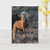 Cartes de notes Wild Palomino (Fleur jaune)