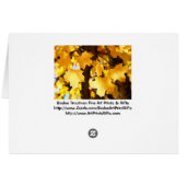 Cartes de Numéro de Table de Mariage Réceptions de (Dos Horizontal)