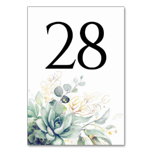Cartes de numéro de tableau des plantes succulente