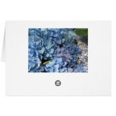 Cartes de numéros de table Blue Hydrangea (Dos Horizontal)