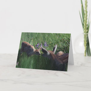 Cartes de papeterie Deer Doe et Fawn vides à l'int