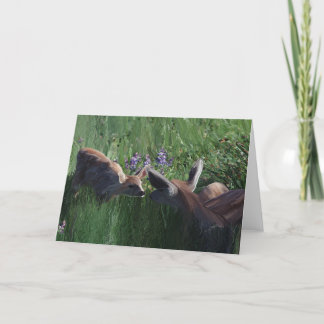 Cartes de papeterie Deer Doe et Fawn vides à l'int