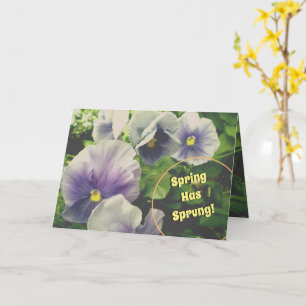 Cartes de Pâques violettes~Conversation silencieus