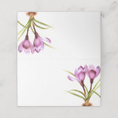 Cartes de place de l'artiste invité en couleur de  (Extérieur déplié)