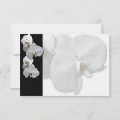 Cartes de placement de table Orchidée Blanche (Dos)