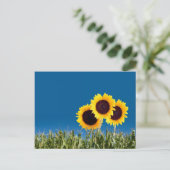 Cartes de poste d'été (Debout devant)