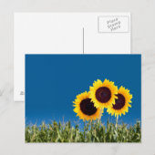Cartes de poste d'été (Devant / Derrière)