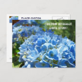 Cartes de poste Nature Custom Business Hydrangeas (Devant / Derrière)
